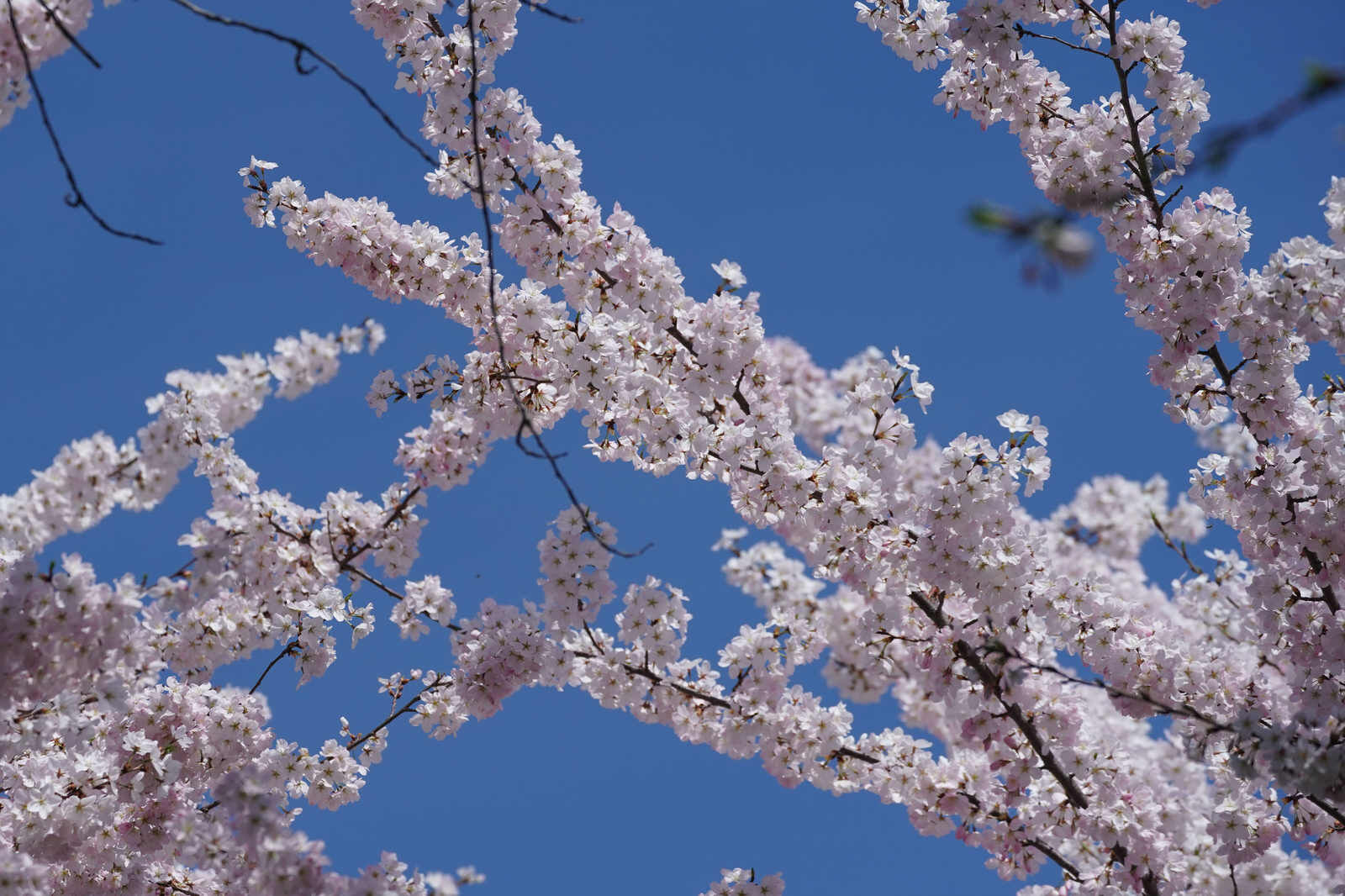 Blue sky above